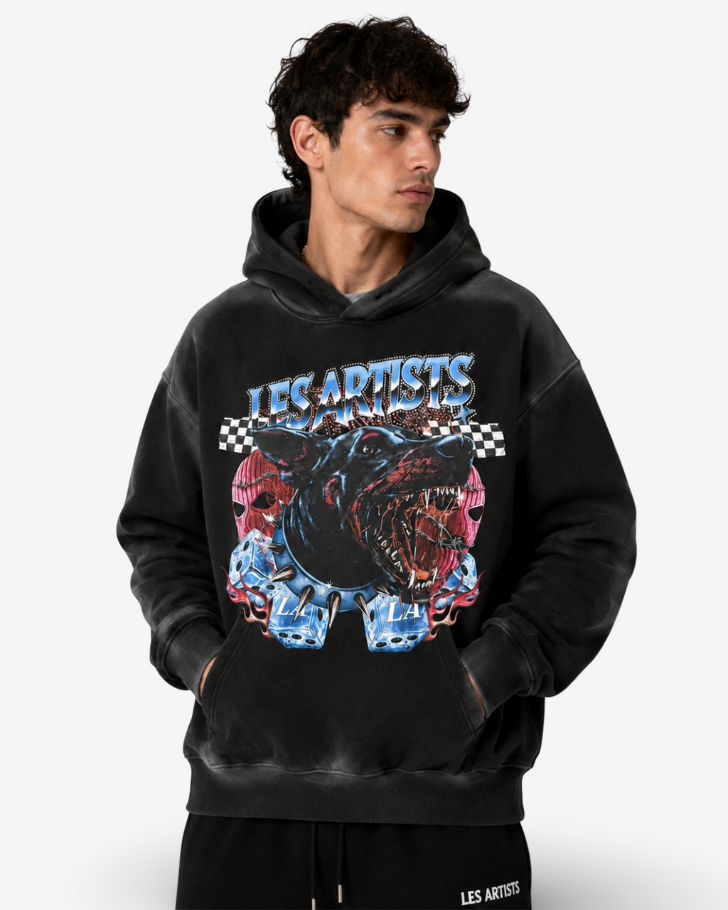 LES (ARTISTS) - HOODIE DOBERMANN