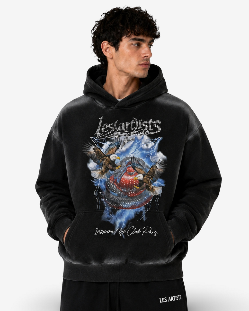 LES (ARTISTS) - HOODIE EAGLE STORM